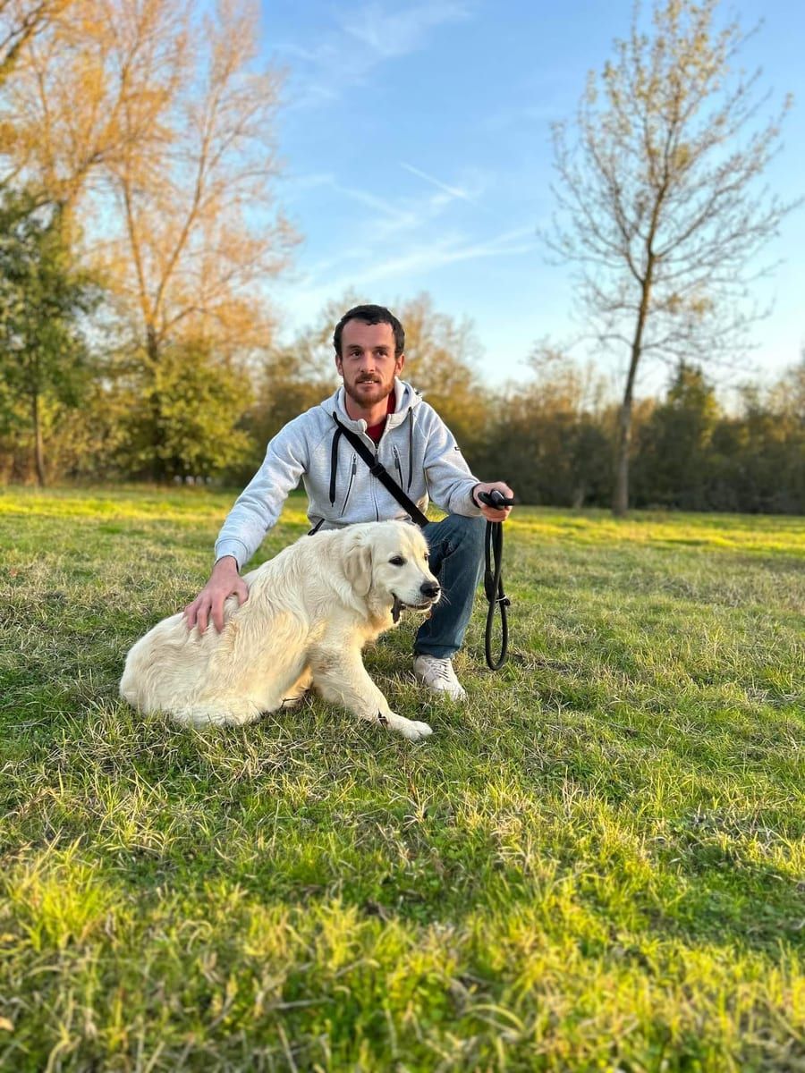 Profil von Ramiz