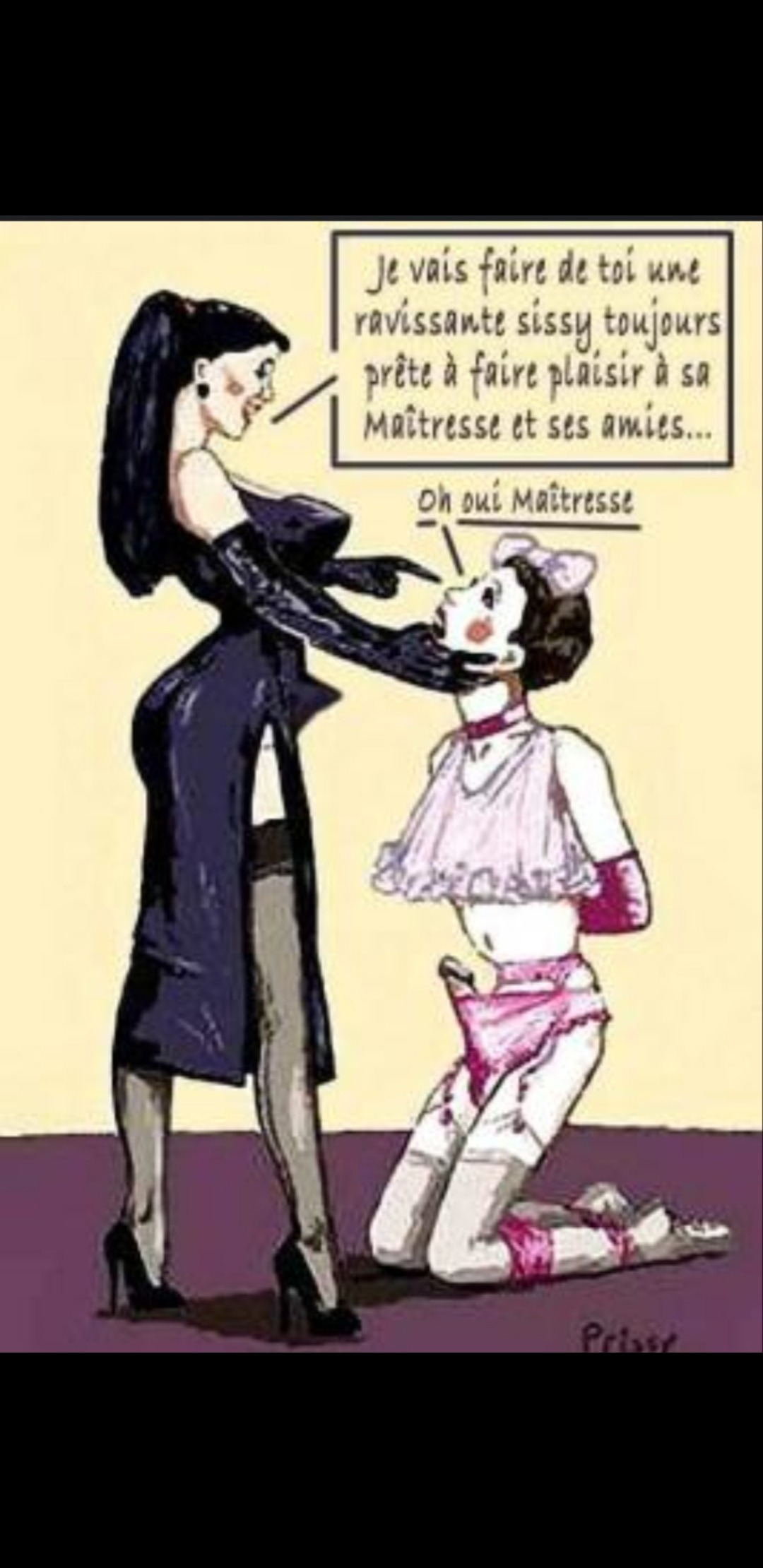 Profil von Shelton